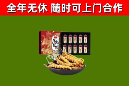 庐江烟酒回收冬虫夏草礼盒.jpg