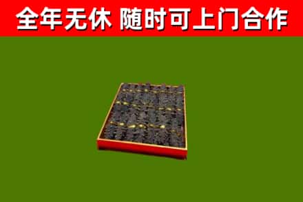庐江烟酒回收海参.jpg